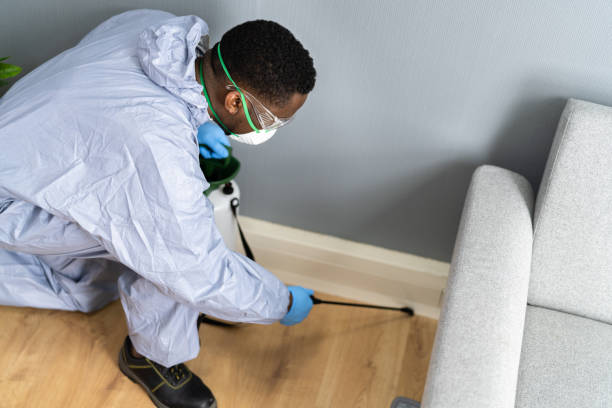 Reliable Heathrow, FL Pest Control Solutions